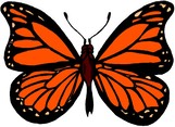 monarchone.jpg
